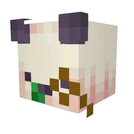 hungarian_guy99 Minecraft avatar head, 3D render