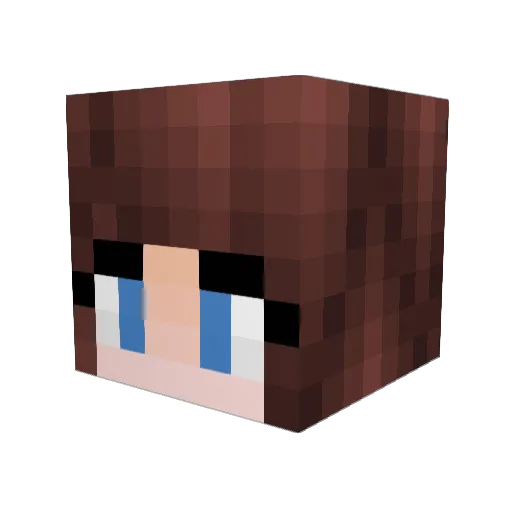 hungergameske Minecraft avatar head, 3D render