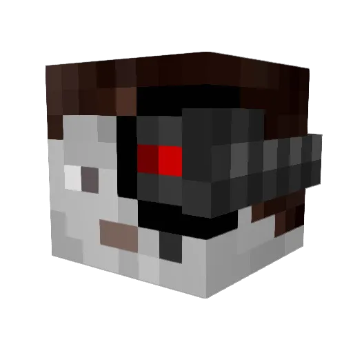 hungmanmoojoo Minecraft avatar head, 3D render