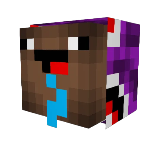 hungry384widower Minecraft avatar head, 3D render