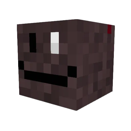 hungrybeak Minecraft avatar head, 3D render