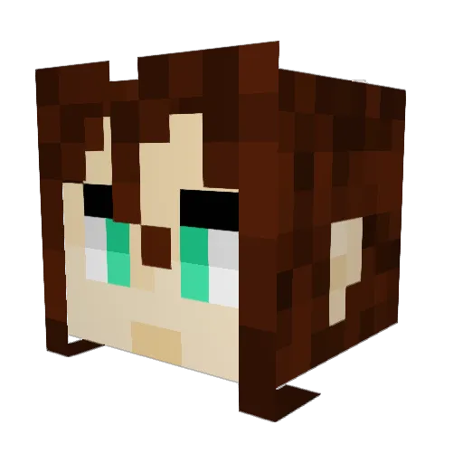 hungrycorgi Minecraft avatar head, 3D render