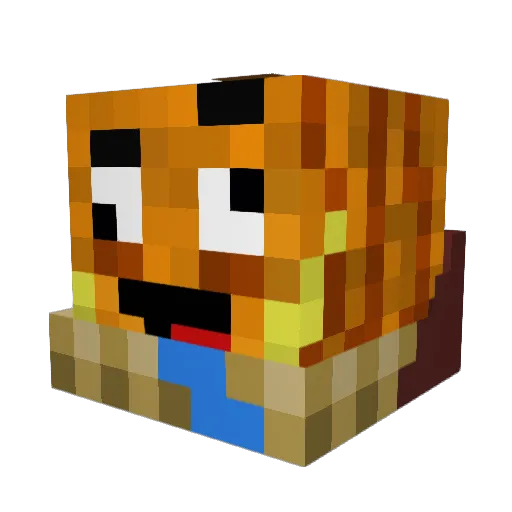 hungryfourty Minecraft avatar head, 3D render