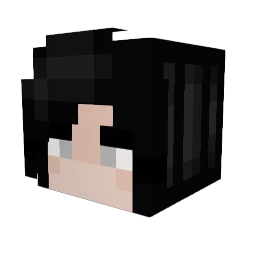 hungrymeow Minecraft avatar head, 3D render