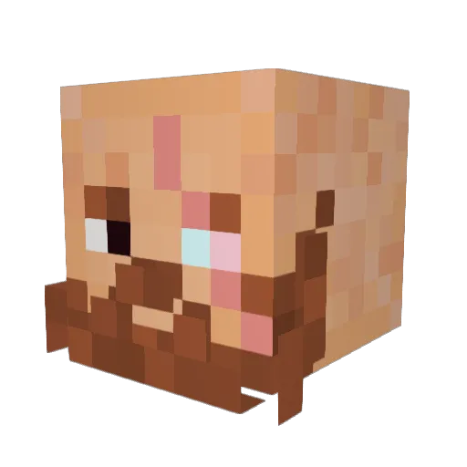 hungryshelf64 Minecraft avatar head, 3D render