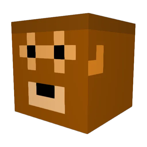 hunkyflyer Minecraft avatar head, 3D render