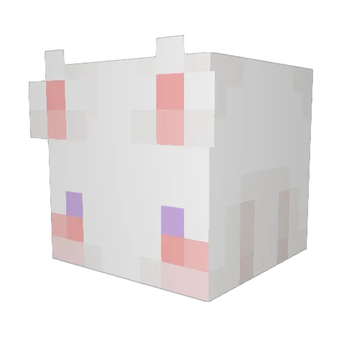 hunny9 Minecraft avatar head, 3D render