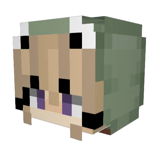 hunnymoon Minecraft avatar head, 3D render