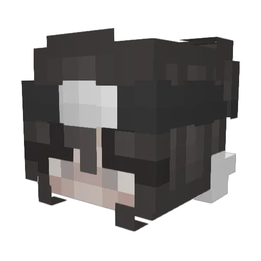 hunstermonter Minecraft avatar head, 3D render
