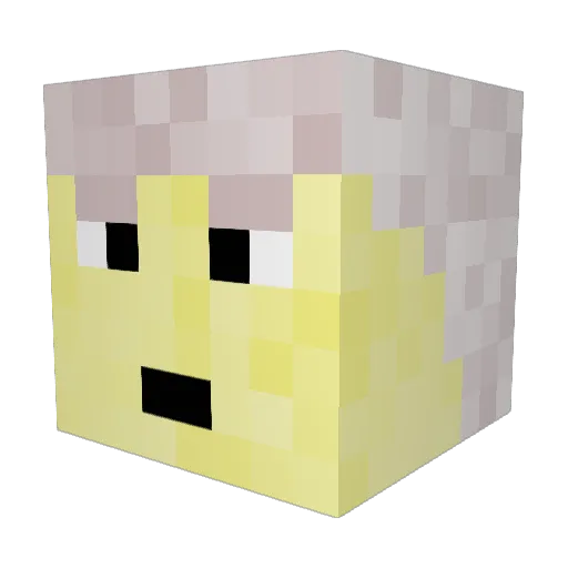 hunt2001 Minecraft avatar head, 3D render