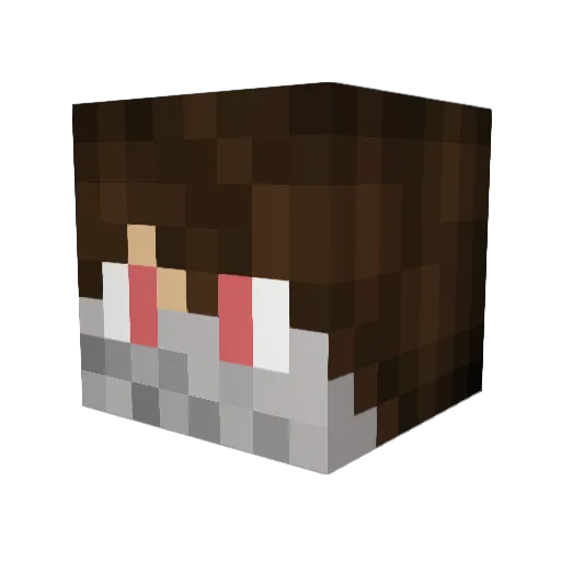 hunter0462 Minecraft avatar head, 3D render
