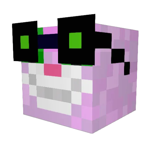 hunter06 Minecraft avatar head, 3D render