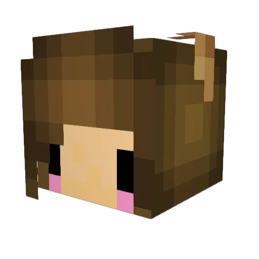 hunter25864z Minecraft avatar head, 3D render