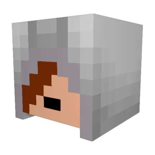 hunter4228 Minecraft avatar head, 3D render