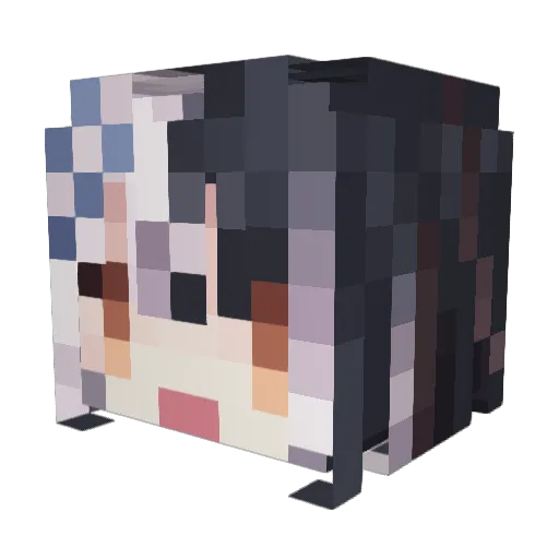 hunter78130 Minecraft avatar head, 3D render