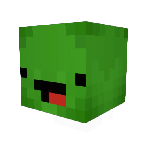 hunter91919 Minecraft avatar head, 3D render