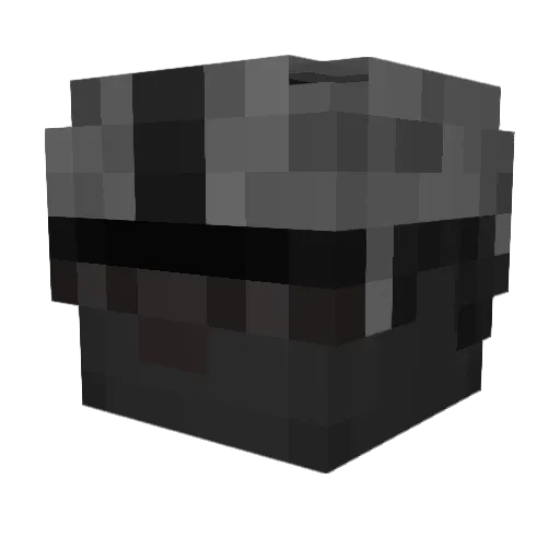 hunterX0 Minecraft avatar head, 3D render