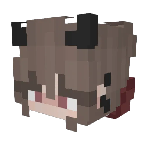hunterforce1 Minecraft avatar head, 3D render