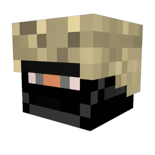 hunterlittle99 Minecraft avatar head, 3D render