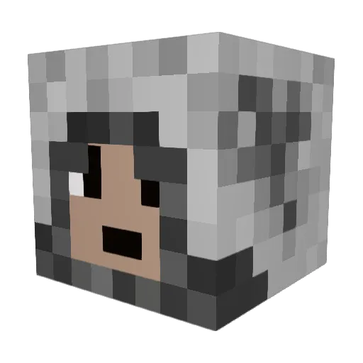 hunterluke02 Minecraft avatar head, 3D render