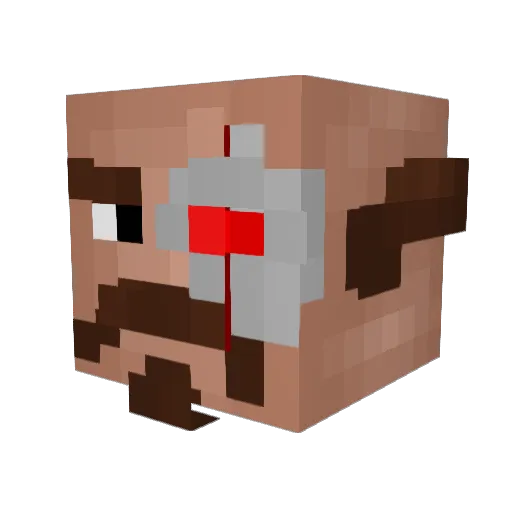 hunteronsleep Minecraft avatar head, 3D render