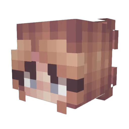 huntlei_ Minecraft avatar head, 3D render