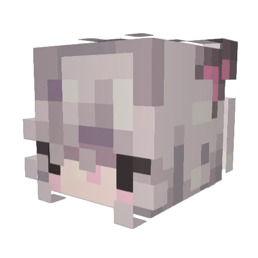 huq_ Minecraft avatar head, 3D render