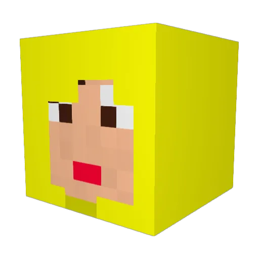 hurd5496 Minecraft avatar head, 3D render