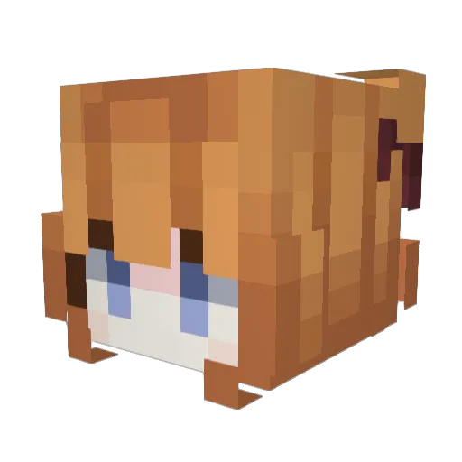 hurokyan_4days Minecraft avatar head, 3D render