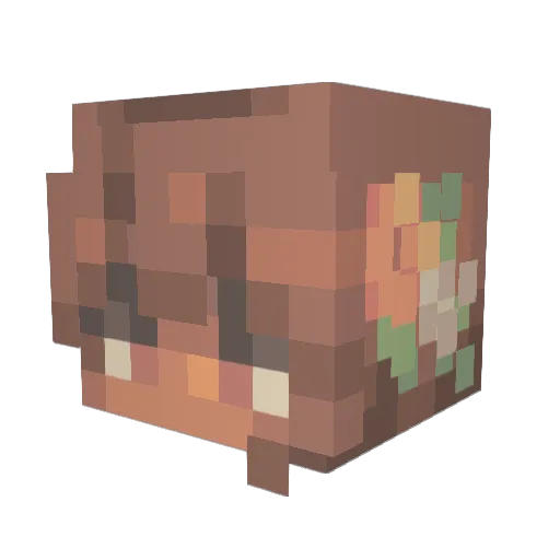 hurtigehector15 Minecraft avatar head, 3D render