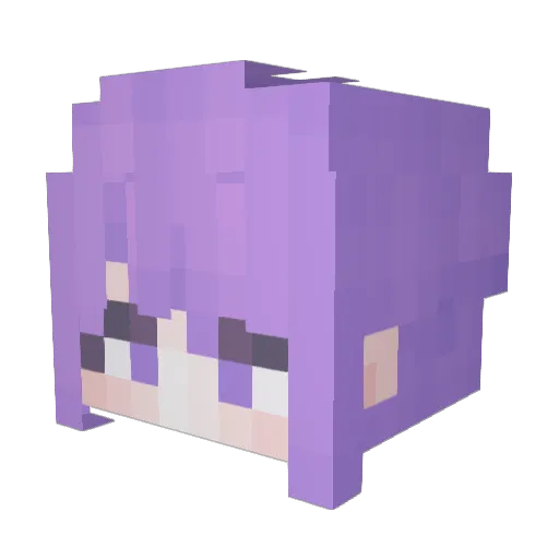 hush2007 Minecraft avatar head, 3D render