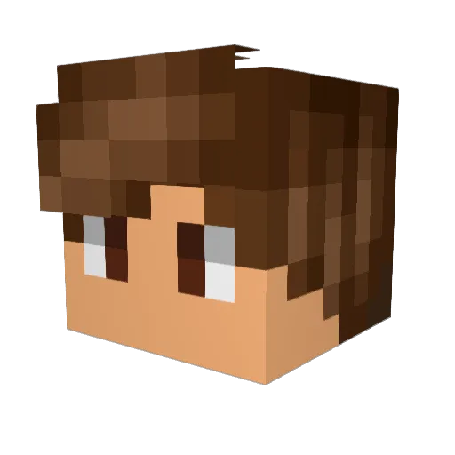 husobaba04 Minecraft avatar head, 3D render