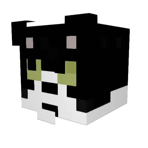 husua Minecraft avatar head, 3D render