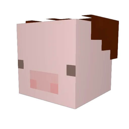hutdoug Minecraft avatar head, 3D render