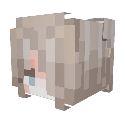 huwhee Minecraft avatar head, 3D render