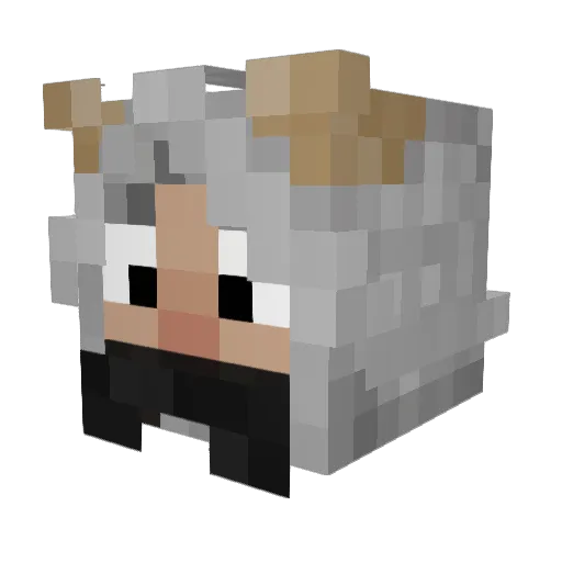 huxlypig Minecraft avatar head, 3D render