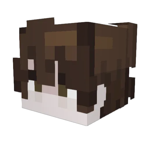 huzi07 Minecraft avatar head, 3D render