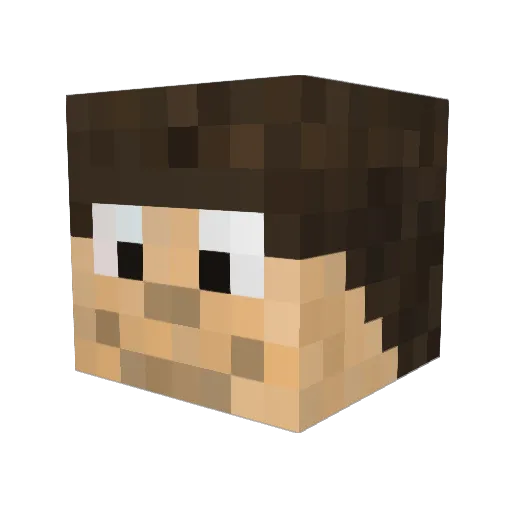 hvbi Minecraft avatar head, 3D render