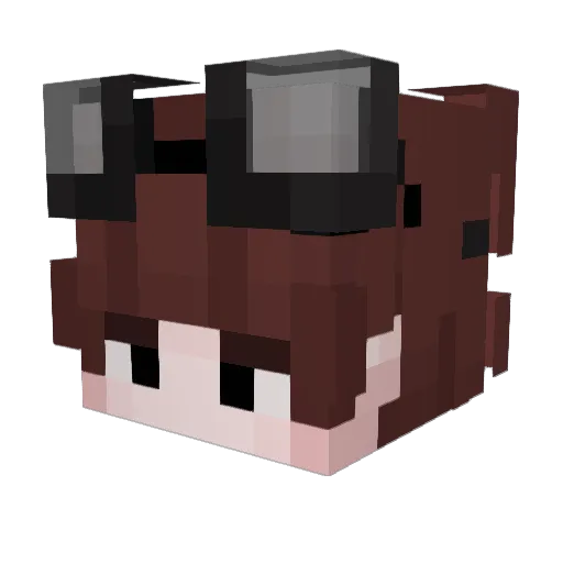 hvegoodbye Minecraft avatar head, 3D render