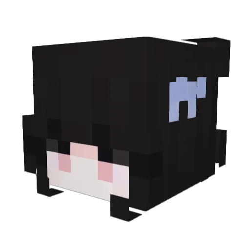 hvh6 Minecraft avatar head, 3D render