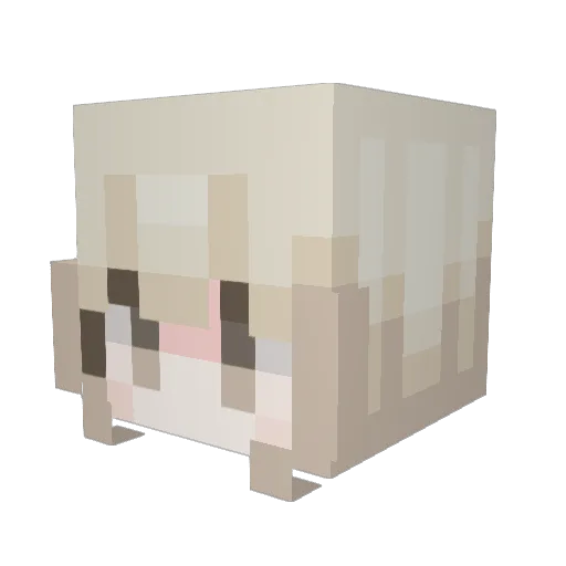 hvi3 Minecraft avatar head, 3D render