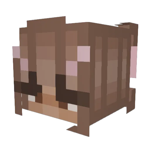 hvneylushh Minecraft avatar head, 3D render