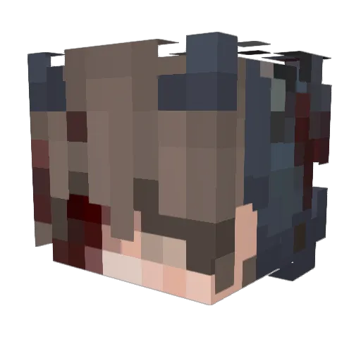 hvx2000 Minecraft avatar head, 3D render