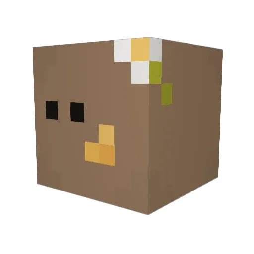 hwagwi Minecraft avatar head, 3D render