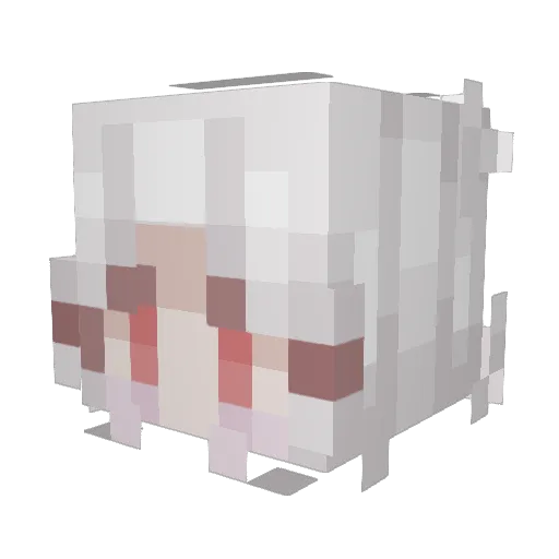 hwaii77 Minecraft avatar head, 3D render