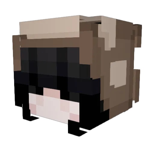 hwameow Minecraft avatar head, 3D render