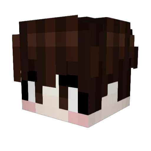 hwang2011 Minecraft avatar head, 3D render