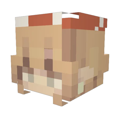hwksy Minecraft avatar head, 3D render