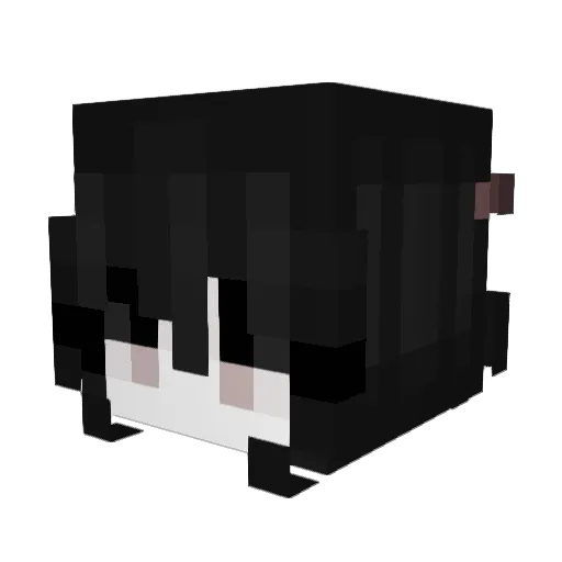 hwnni Minecraft avatar head, 3D render
