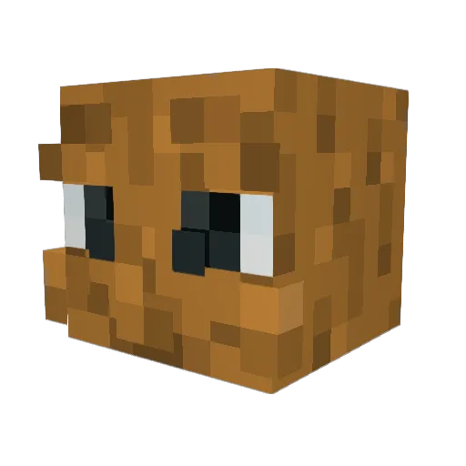 hwookim Minecraft avatar head, 3D render